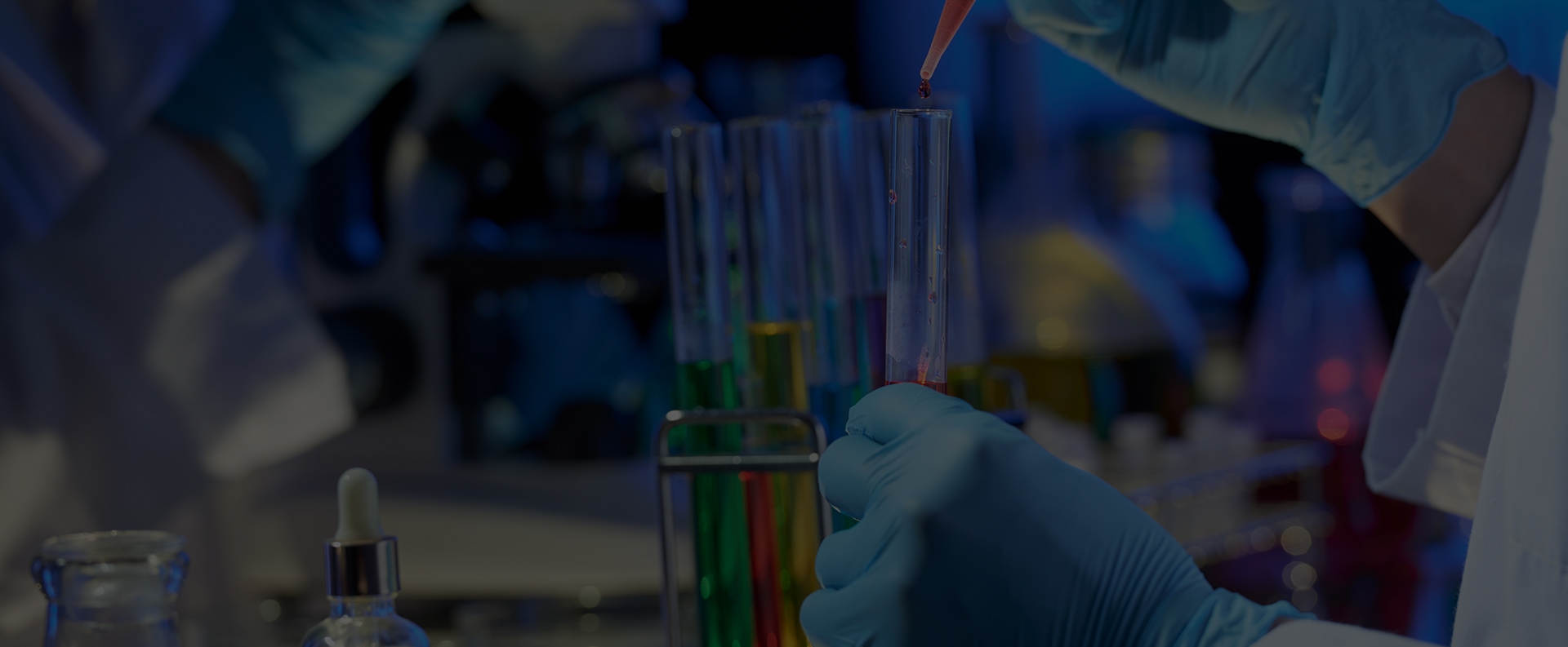 Prachin Pharmachem pharmaceutical excipient manufacturing facility in Gujarat